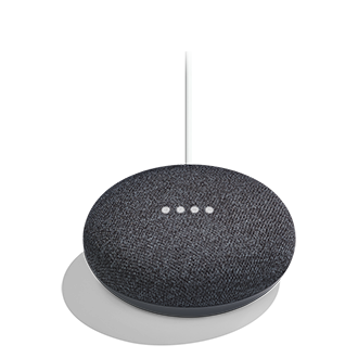 google home 20 questions